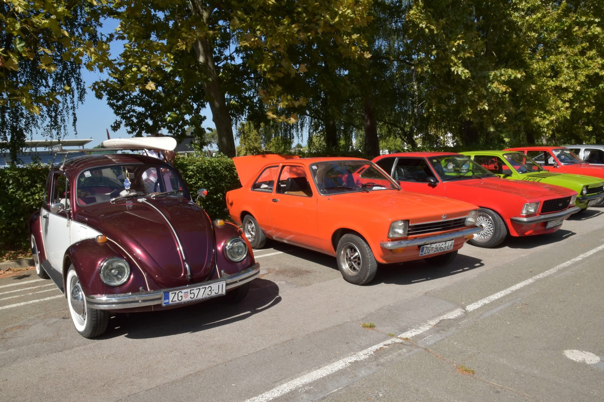 008D izlozba auti