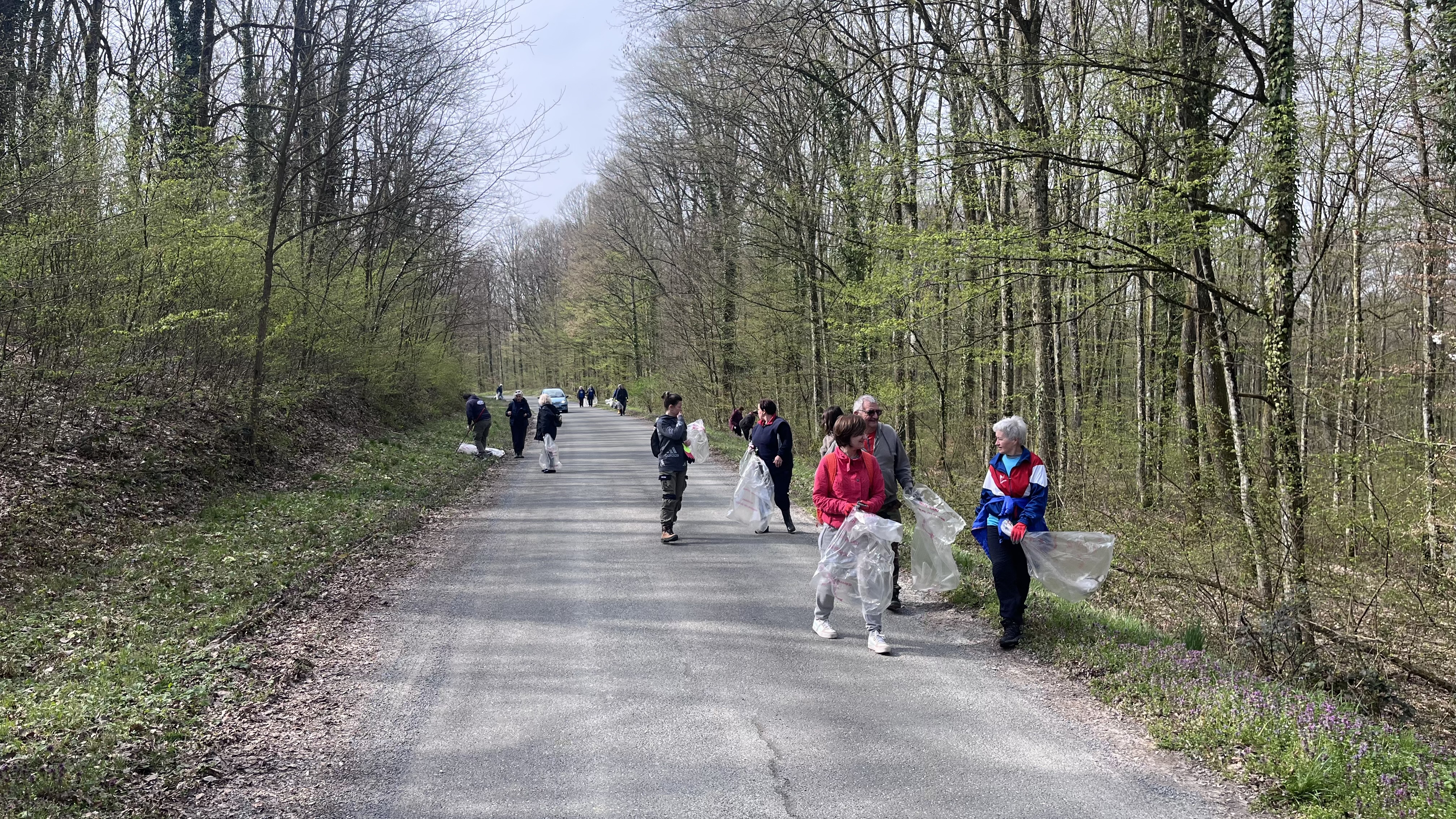 Cistka 14