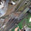 DSC01778_800x600