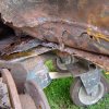 DSC01873_800x600