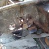DSC01894_800x600