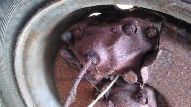 IMAG0650_800x451